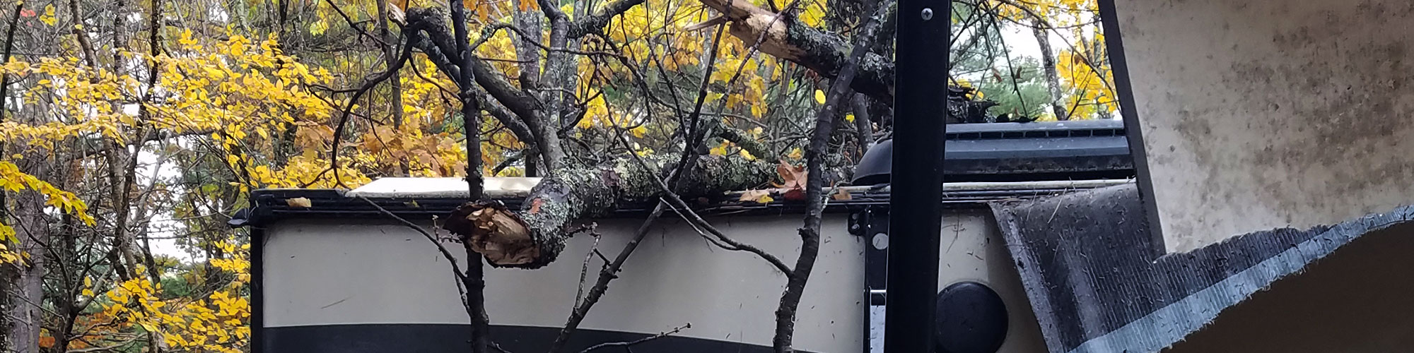 If a Tree Falls on an RV….