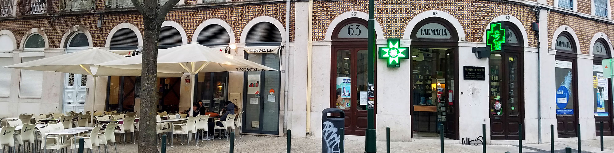 The Zombie Apocalypse